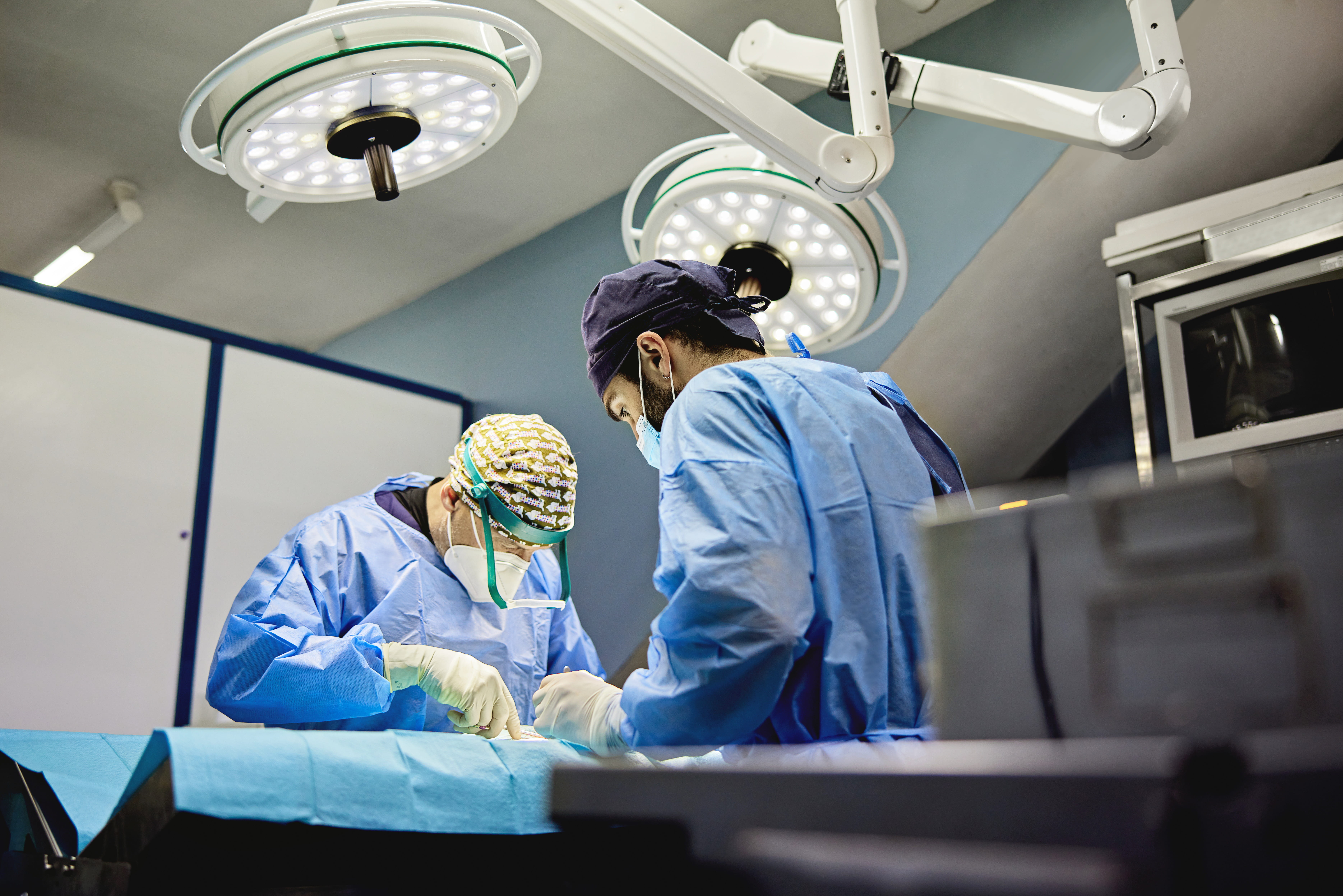 shoal creek animal hospital jobs