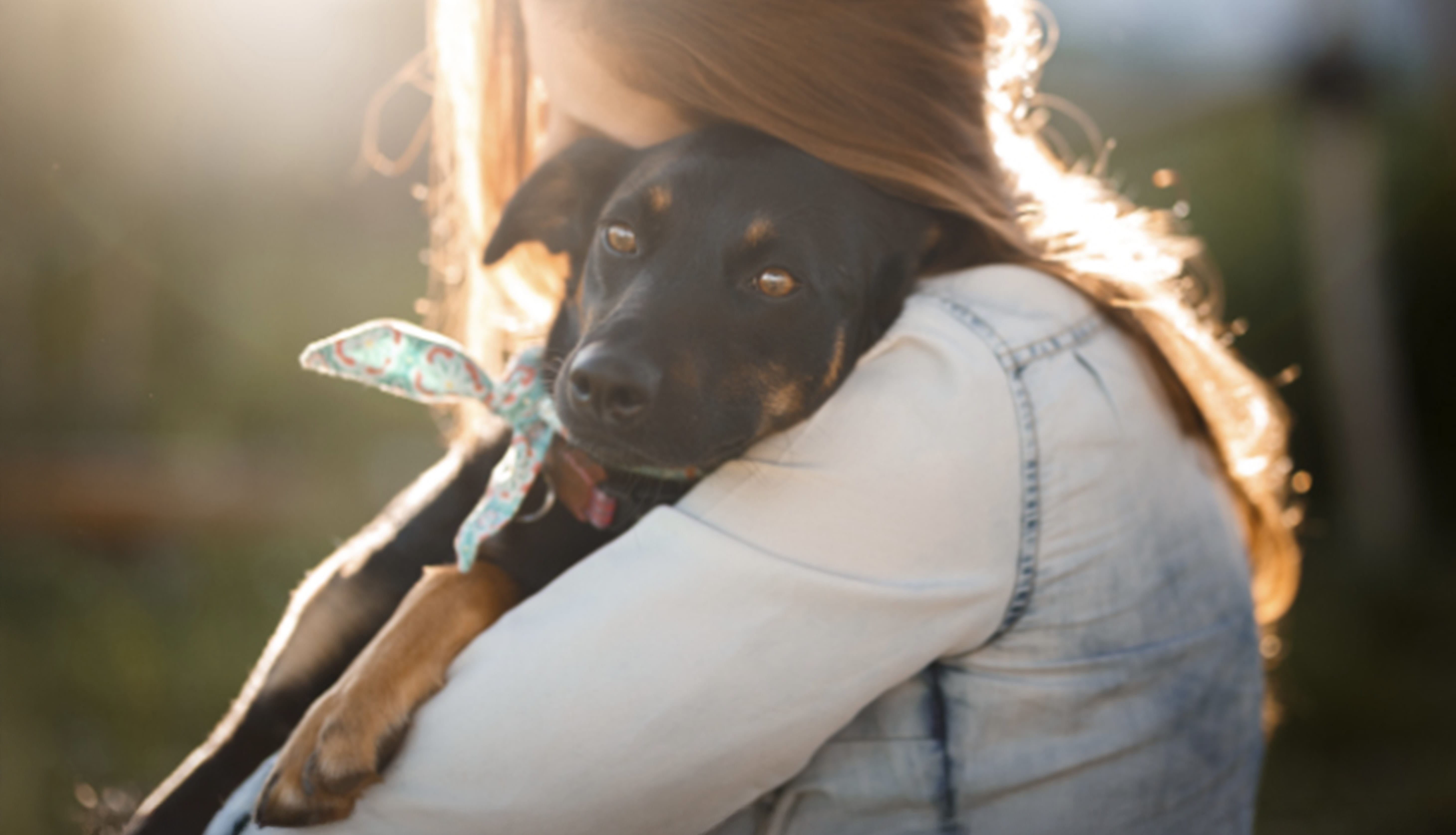 puppy being snuggled by owner