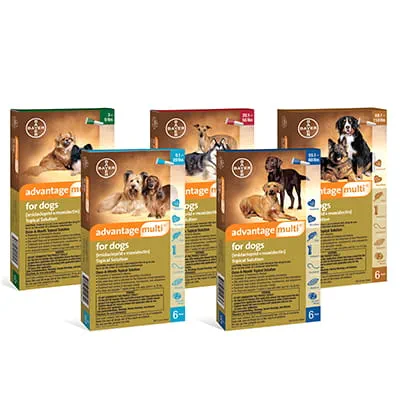 Advantage Multi® Topical Solution for Dogs Shop myVCA
