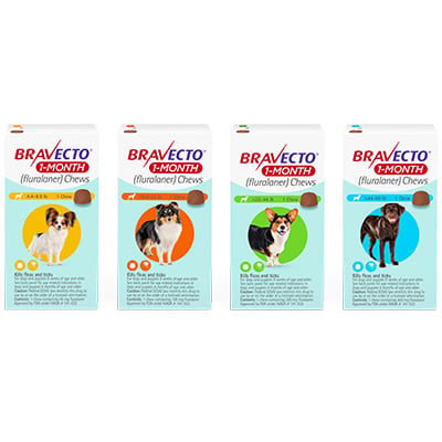 /-/media/2/project/vca/shop/product-images/b/bravecto-1-month-chews-for-dogs/bravecto_1month_family_updated.ashx