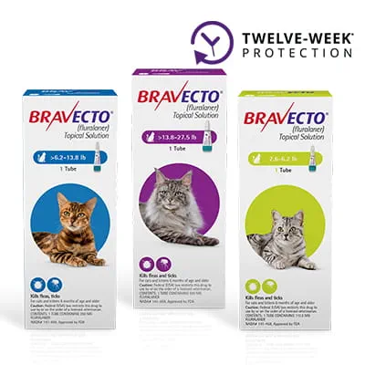Bravecto® Topical for Cats