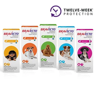 Bravecto® Topical for Dogs