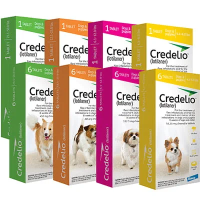 https://vcahospitals.com/-/media/2/project/vca/shop/product-images/c/credelio-for-dogs/cred_family_image_vca1.jpg?rev=551507123d3946448d1dc44cb63ee03d