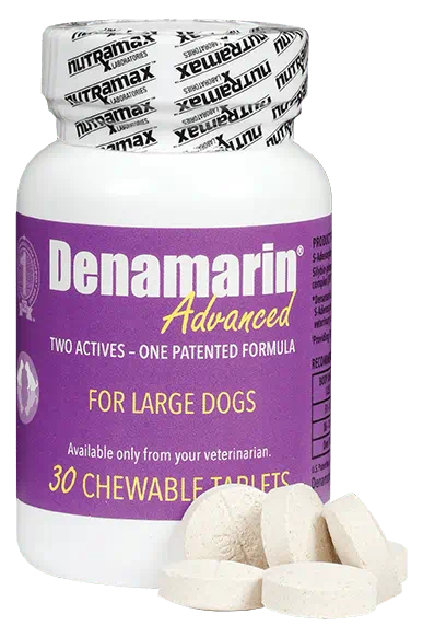 Denamarin® Advanced Chewable Tablets Large Dogs Shop myVCA
