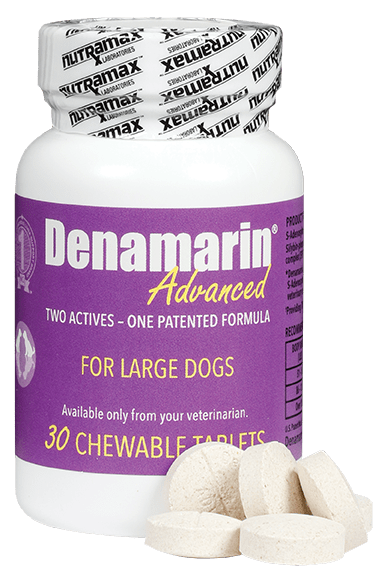 Denamarin® Advanced Chewable Tablets Large Dogs | Shop myVCA