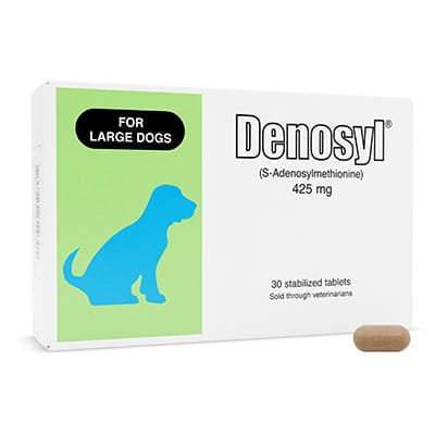 glutathione for dogs dosage Copper Hepatopathy in Dogs main image 0