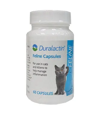 https://vcahospitals.com/-/media/2/project/vca/shop/product-images/d/duralactin-feline/77003829bo/77003829bo_front.jpg?rev=1695376fcc034d4d838eef733ead40a5