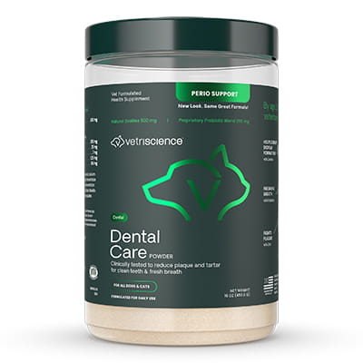 Dental Care Powder for Cats & Dogs | Shop myVCA