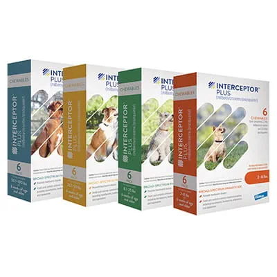 https://vcahospitals.com/-/media/2/project/vca/shop/product-images/i/interceptor-plus/interceptorplus_allboxes_fright_sm.jpg?rev=a4d5fba253214b6ca9aac1d41c58d54b