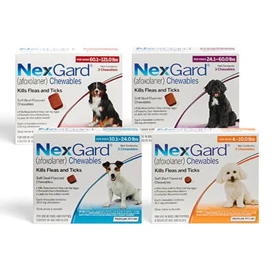 https://vcahospitals.com/-/media/2/project/vca/shop/product-images/n/nexgard-chewables/nexgard_familyimage.jpg?rev=e2c152dc551c45b7b26b07172d2ba4aa