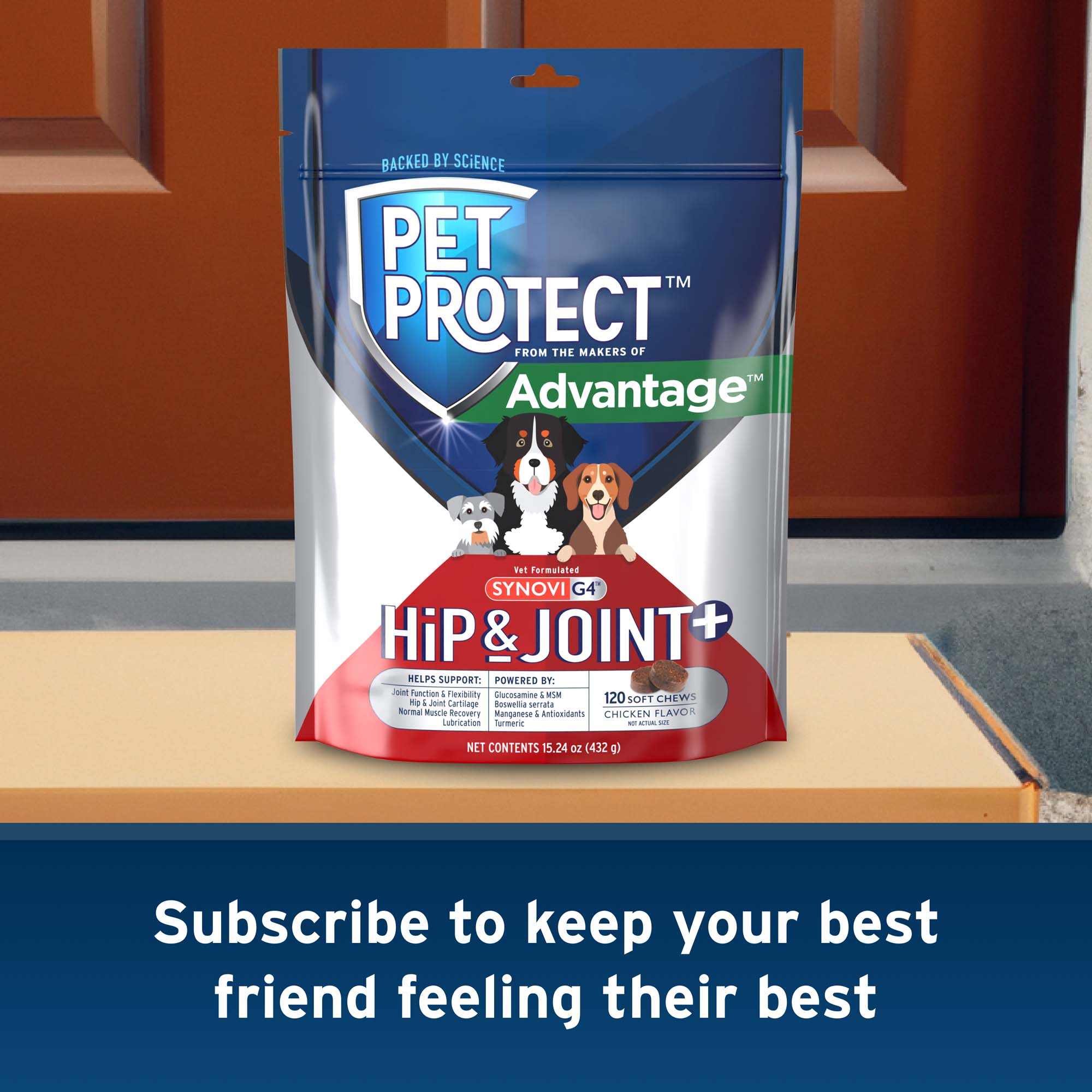 Pet Protect Synovi G4 Hip & Joint+ Soft Chews for Dogs | Shop myVCA