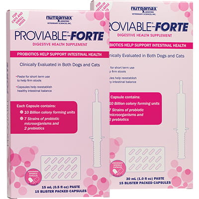 Proviable®-Forte Kit for Cats Dogs Shop myVCA