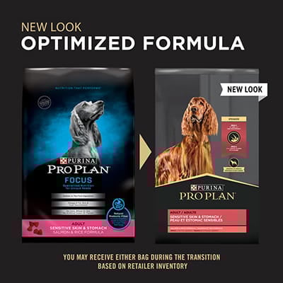 Purina® Pro Plan® Focus Sensitive Skin Stomach Formula Shop myVCA
