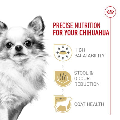 can l carnitine make you poop The Role of l-Carnitine in Mitochondria, Prevention of Metabolic Inflexibility and Disease Initiation Organic Sensitivity Formula | Value