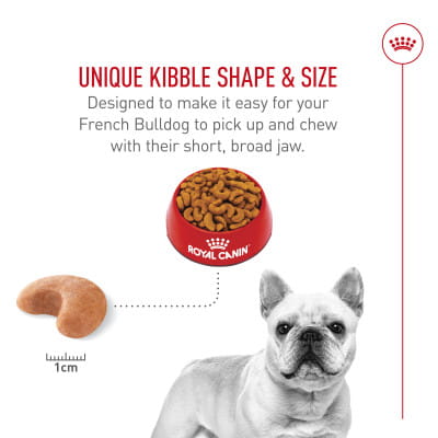 Royal Canin Breed Health Nutrition French Bulldog Adult Dry Dog