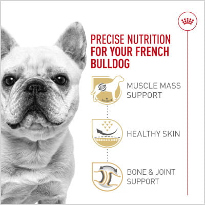 ブルドッグストア Royal Canin Breed Health Nutrition French Bulldog Adult Dry Dog