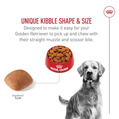 Royal Canin Breed Health Nutrition Golden Retriever Adult Dry Dog