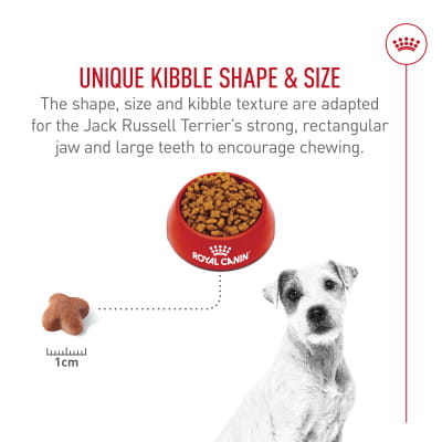 Royal Canin Breed Health Nutrition Jack Russell Terrier Adult Dry