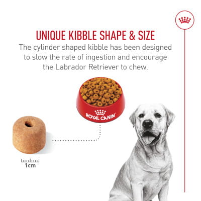 Royal Canin Breed Health Nutrition Labrador Retriever Adult Dry