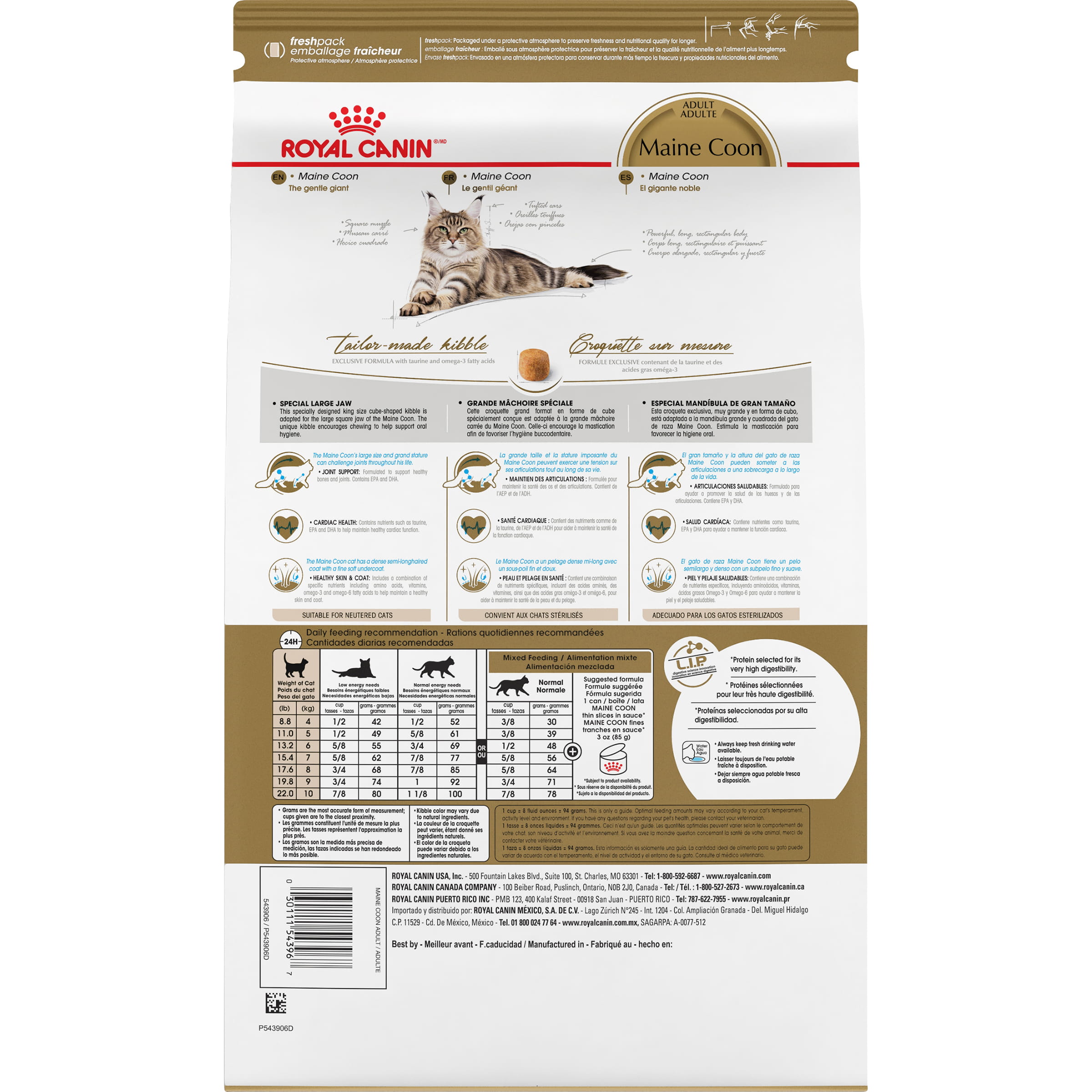 Royal Canin Feline Breed Nutrition Maine Coon Adult Dry Cat Food