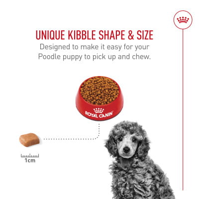bella wet dog food ingredients Bully Max 24/14 High Protein & Growth Puppy Formula Lamb Flavor Dry Dog Food