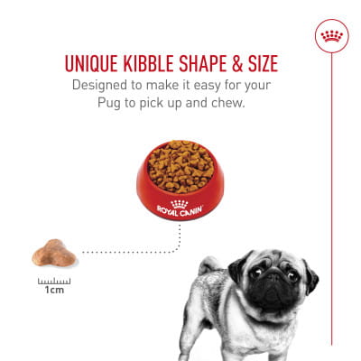  CANIN パグ Royal Canin Breed Health Nutrition Pug Adult Dry Dog Food | Shop myVCA