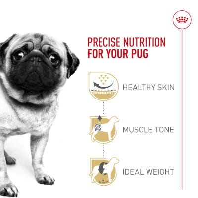  CANIN パグ Royal Canin Breed Health Nutrition Pug Adult Dry Dog Food | Shop myVCA