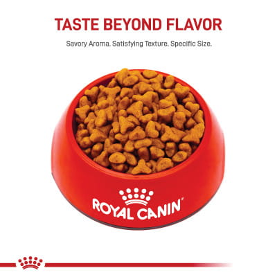 Royal Canin Breed Health Nutrition Pug Adult Dry Dog Food | Shop myVCA