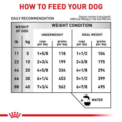 Royal Canin Veterinary Diet Adult Canine Multifunction