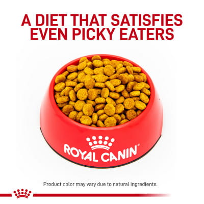 ドッグフード  CANIN 犬用総合栄養食（ドッグフード） | Royal Canin JP