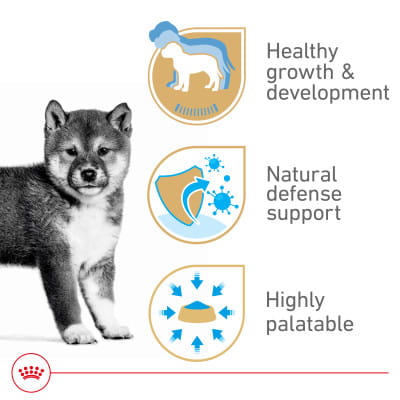 Royal Canin Canine Health Nutrition Puppy Canned Wet Dog Food