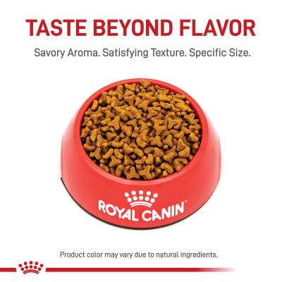 Royal Canin Feline Breed Nutrition Bengal Adult Dry Cat Food