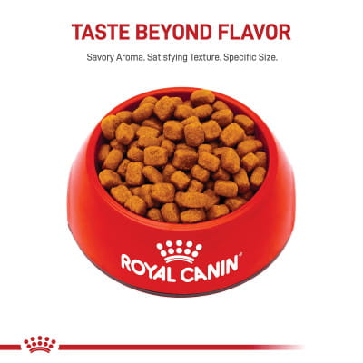 Royal Canin Feline Care Nutrition Adult Dental Care Dry Cat Food