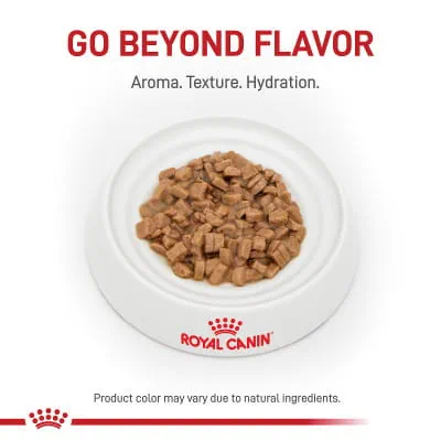 Royal Canin Veterinary Diet Adult Gastrointestinal Fiber Response Thin  Slices in Gravy Canned Wet Cat Food | Shop myVCA