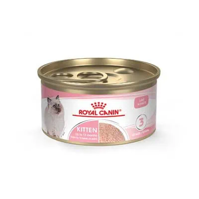 averyday raised dog bowl Flower Slow Feeder – AveryDay main image 0