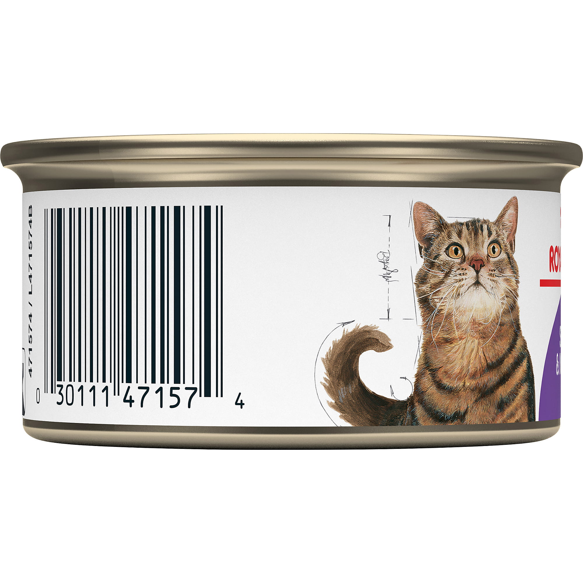 Royal Canin Feline Health Nutrition Spayed/Neutered Thin Slices in
