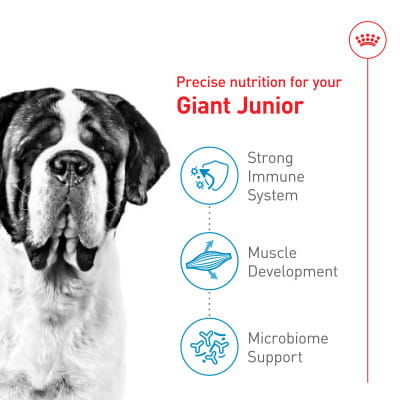 Royal Canin Size Health Nutrition Giant Junior Dry Dog Food | Shop