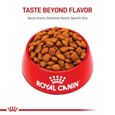 Royal Canin Size Health Nutrition Giant Junior Dry Dog Food | Shop