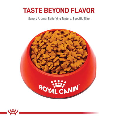 Royal Canin Size Health Nutrition Small Adult 8+ Dry Dog Food