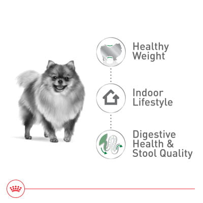 Royal Canin Size Health Nutrition Small Indoor Adult Dry Dog Food