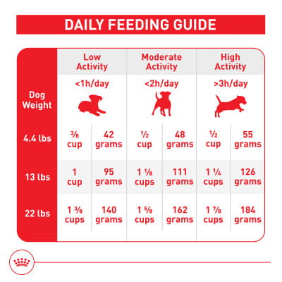 best grain free dog food orejen vs fromm Fromm Gold Weight Management Dog Food 15 lbs