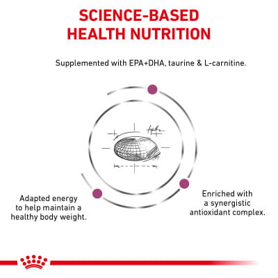 does l carnitine work The bright and the dark sides of L-carnitine supplementation: a systematic  review | Journal of the International Society of Sports Nutrition