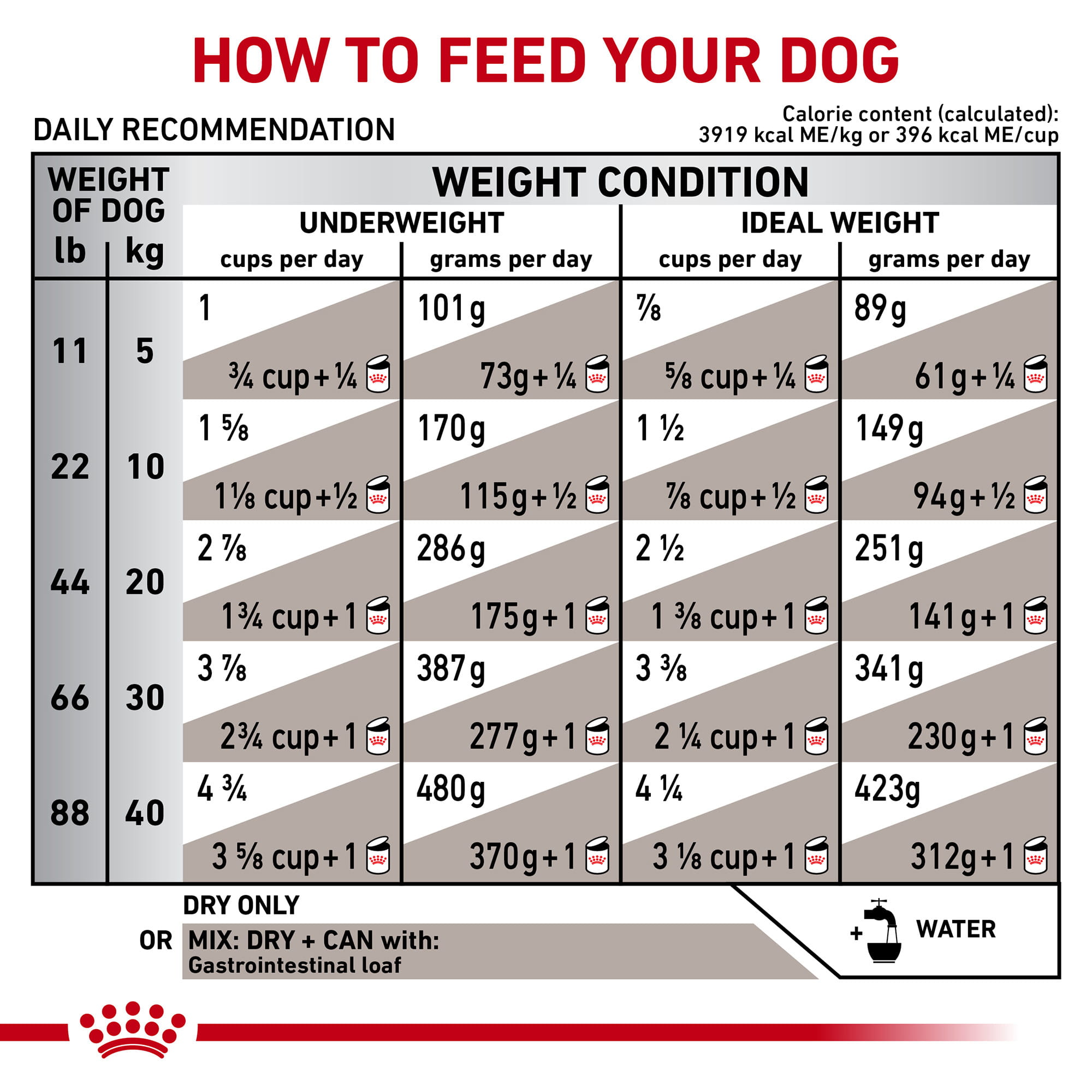 Royal Canin Veterinary Diet Adult Gastrointestinal Dry Dog Food