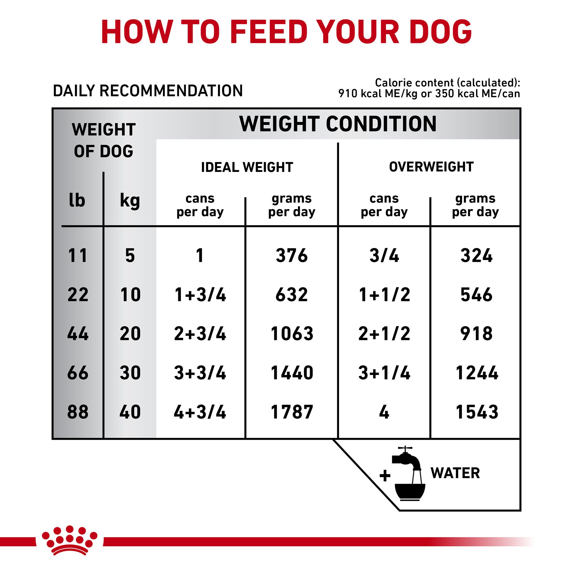 royal canin intestinal low fat dog food, large deal Save 82% available 