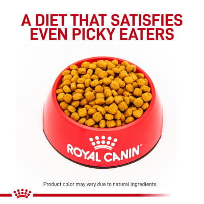 Royal Canin Veterinary Diet Adult Gastrointestinal Low Fat Dry Dog