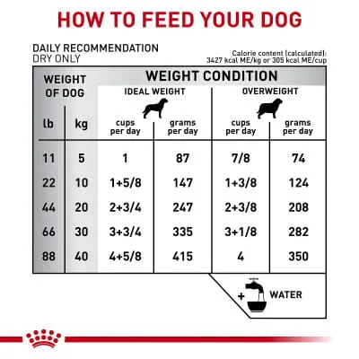 Royal Canin Veterinary Diet Adult Gastrointestinal Moderate Calorie Dry Dog  Food | Shop myVCA