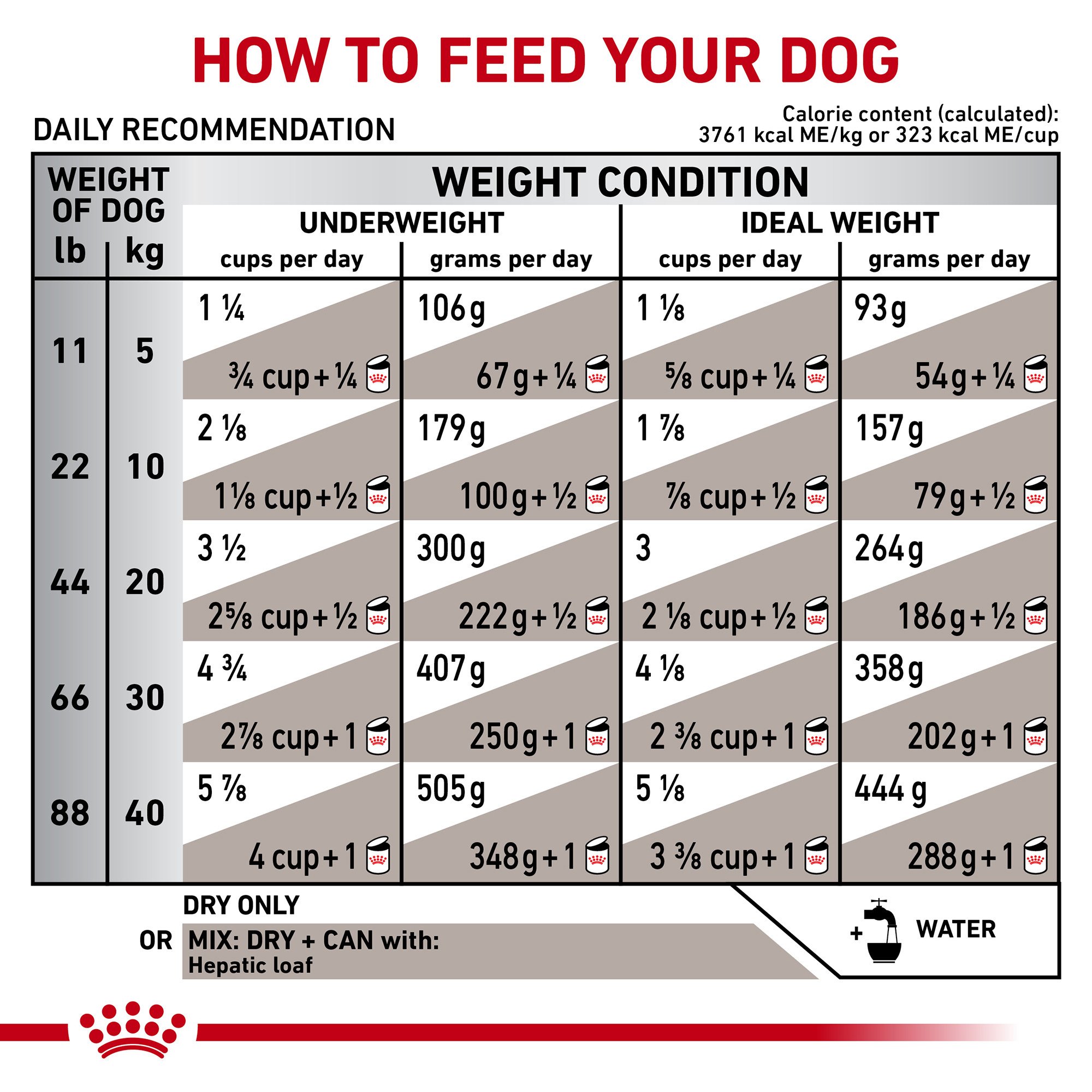 Caius ontrouw limiet ROYAL CANIN VETERINARY DIET® Canine Hepatic Dry Dog Food | Shop myVCA