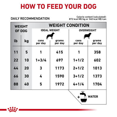 Royal Canin Veterinary Diet Adult Hydrolyzed Protein Dog Food