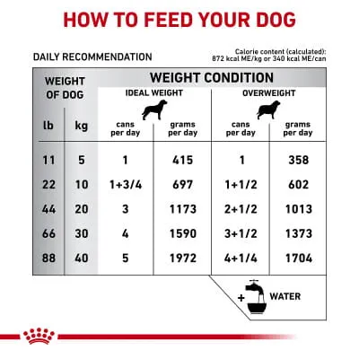 barking heads beef waggington wet dog food pouch Barking Heads Waggington Adult Wet Dog Food in Pouches