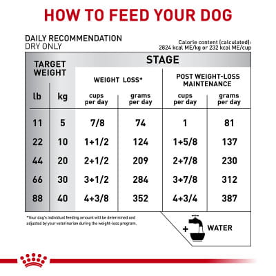 Royal Canin Veterinary Diet Adult Canine Multifunction Satiety +